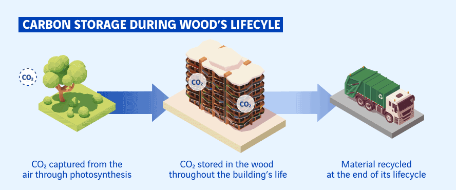 Stockage de carbone pendant le cycle de vie du bois