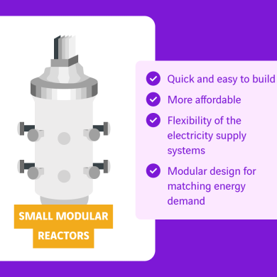schema small modular reactor