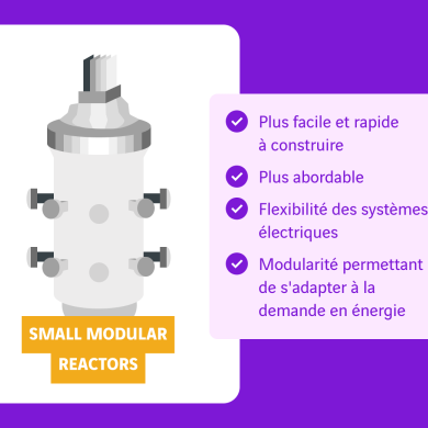 schema small modular reactor