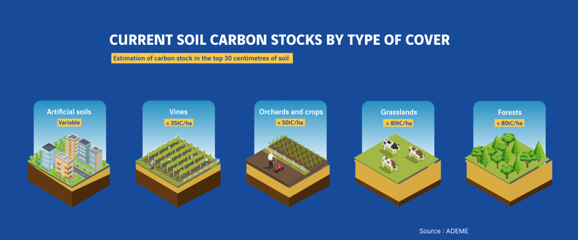 carbon stocks in different soil types